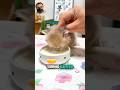 ¡Hizo de todo para que sus gatitos no ensuciaran, pero falló por completo! 😹🥛