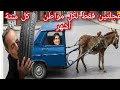 عجلتين فقط لكل مواطن كل ستة أشهر الصحراء مغربية و القبائل حرة مستقلة 