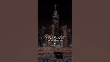 ﴿ يَا عبادِي الذِين آمنُوا إِن ارضِي وَاسِعَة ﴾ سوره العنكبوت،عبدالرحمن مسعد #ارح_قلبك#القرآن_الكريم
