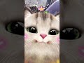 Cute Cat Dance 💕😺#meow #cat #foryou #catvideo #catvideos #viralcatvideo #meowing #petmate #kitten