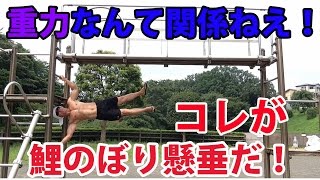 重力無視！！鯉のぼり懸垂！！
