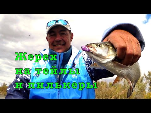 Волжский ЖЕРЕХ и СЕЛЕДКА. Мастер-класс ловли на нытьё.