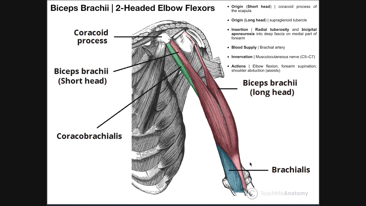 Brachialis osteochondrosis kenőcs