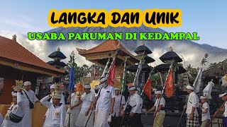 Langka Dan Unik Usaba Paruman Desa Adat Kedampal Part 1