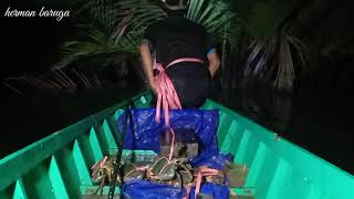 TERRIFYING!!! MANGROVE CRAB HUNTING TRAVEL AT NIGHT