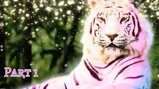 All Night ~Animash/Real animals~ MEP CLOSED! Reps open