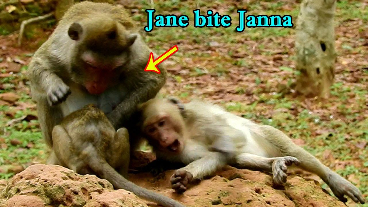 Jane was angry because mark. в каких случаях пишут this that these those. They are angry. приколы про учителей английского языка. учебник по английскому языку 5 класс spotlight стр 56.