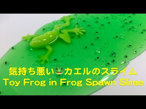 カエルスライム 気持ち悪い🐸カエルとカエルの卵のスライム Toy Frog in Frog Spawn