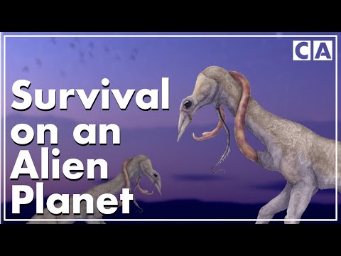 The Incredible Planet of Snaiad | Part II