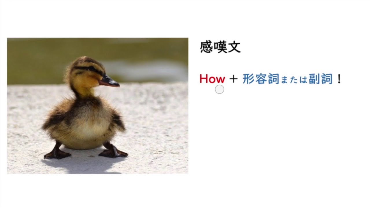 感嘆文 おどろきを表すhow Youtube