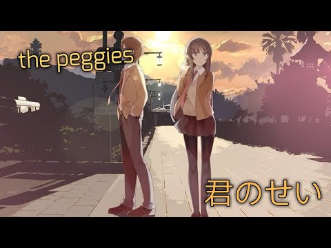 VISUALIZER 30 The Peggies 君のせい CC字幕 