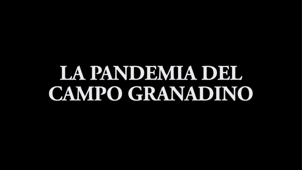 La pandemia del campo granadino - Documental
