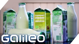 Was ist der Unterschied zwischen frischer Milch und H-Milch?