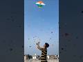 Amazing Kite Flying in India! 🪁 Like & Subscribe! #shorts #viral