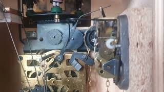 Cuckoo Clock Music Box Not Working Tips How To Fix It