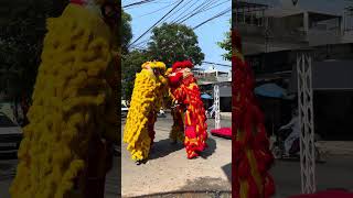 #BẠCH HỔ:MÚA LÂN KHAI TRƯƠNG T&K COFFEE(#13)MÚA TẠI:177 HỒ TÙNG MẬU#Tí Tồ Review#(VIDEO 4187)