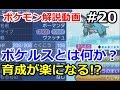 【ポケモン】ポケルスとは何か! 徹底解説。初心者のためのポケモン解説 #20【サン・ムーン】【Pokemon sun and moon】