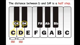 Piano Lessons - Half Steps Or Semitones - Sharp And Flat Notes