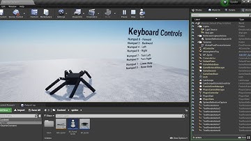 Procedural Animated Spider made using UE4