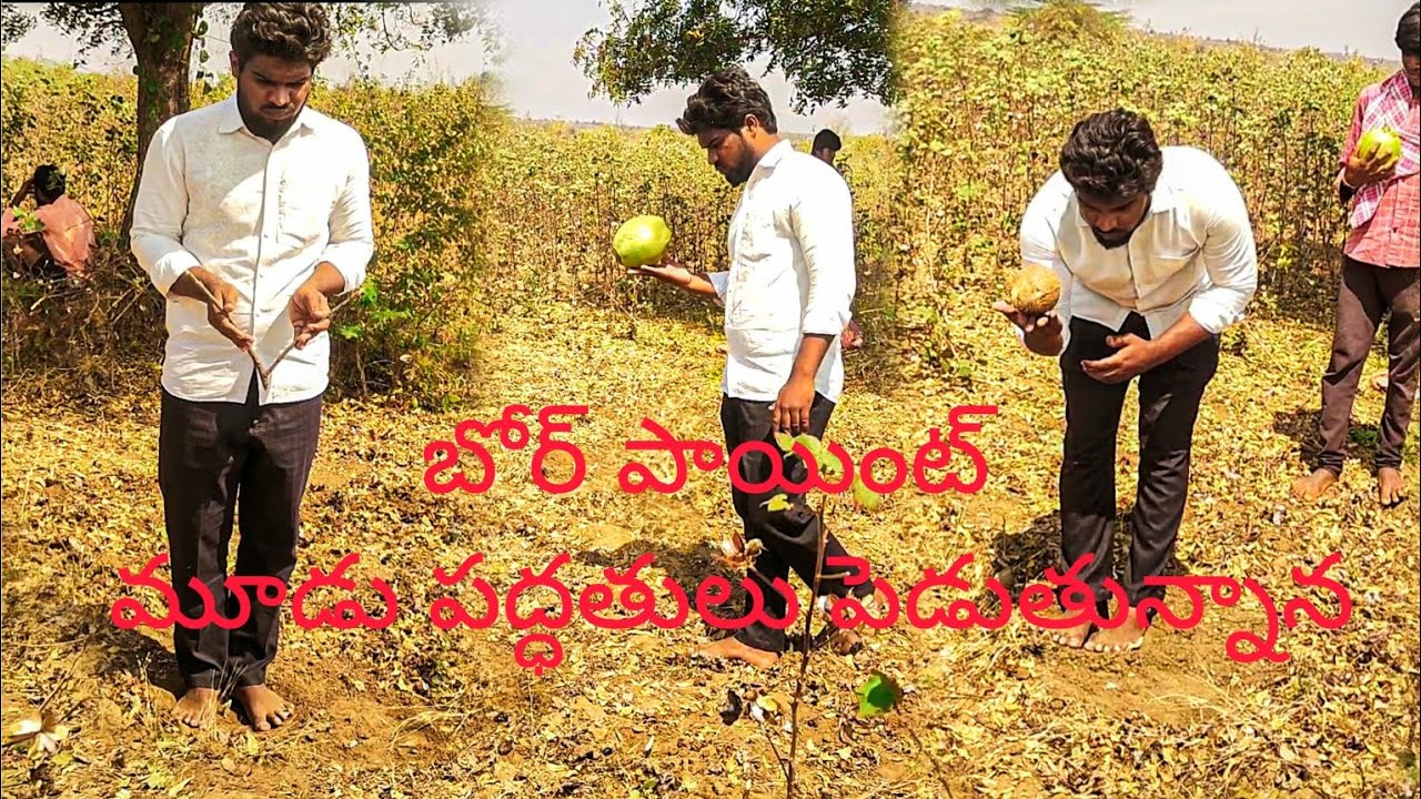 8142274059 Bore point coconut method // 3 method checking easy method ground water checking method