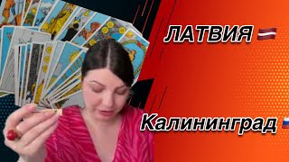 Латвия. Калининград. Таро Прогноз. Таро Юлия Петрова