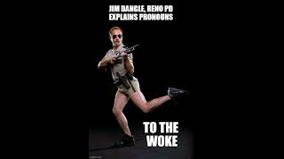 RENO 911 PD Sgt. Dangle explains PRONOUNS to the woke!