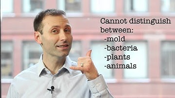 Surface Cleanliness and ATP, Part 2 of 2