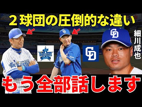 細川「横浜の時は…」中日に移籍して覚醒した細川成也は横浜ベイスターズと中日ドラゴンズの違いをどう感じているのか?
