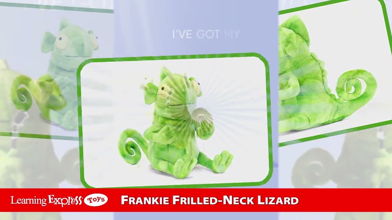 JEYF3FNL Frankie Frilled Neck Lizard 01 - YouTube