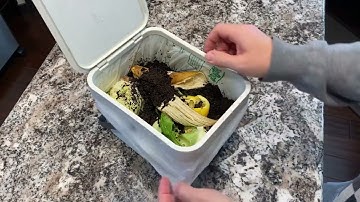 Brabantia Sort & Go Food Waste Trash Can Review, Countertop composting at it