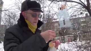 Birds in Winter: How to Feed Birds? Zoologist Dr Victor Fursov Tells How to Feed Birds 08.02.2015