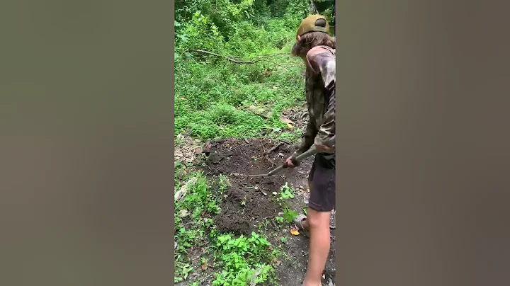 Successful post!!  We found worms.