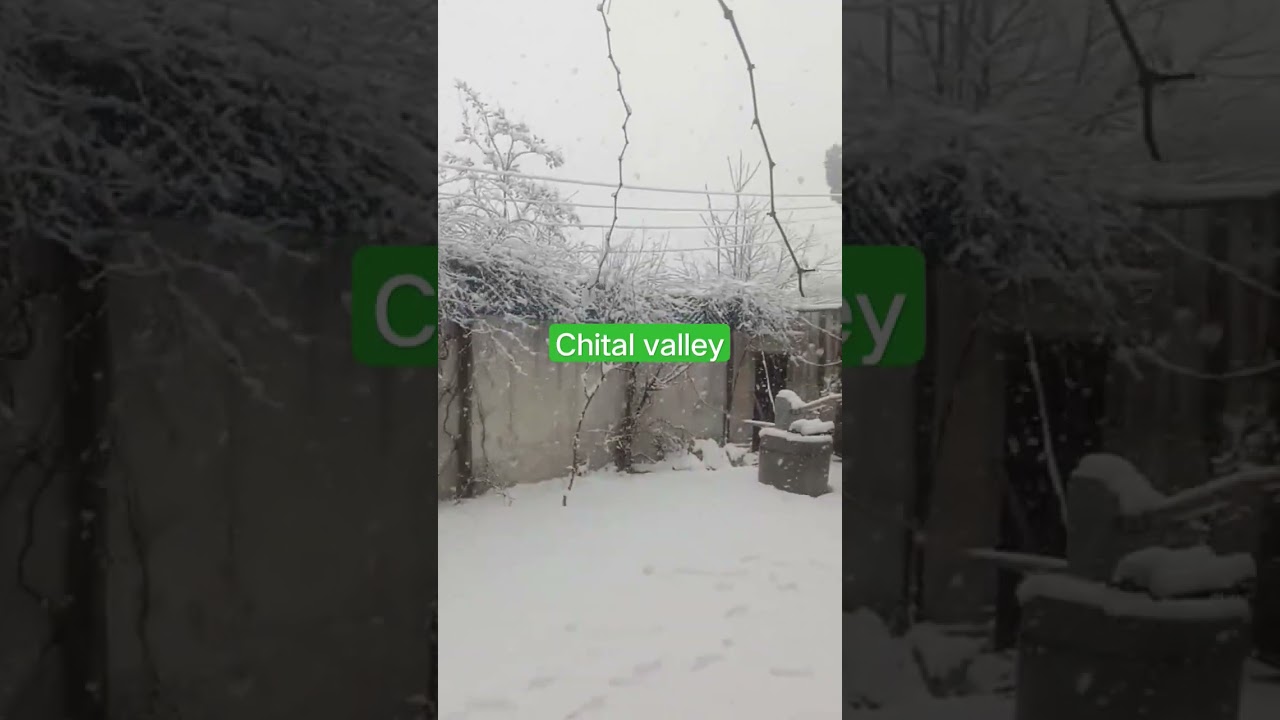 snowfall in chitral valley 