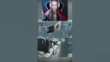 THE BIRDS?! - Assassin