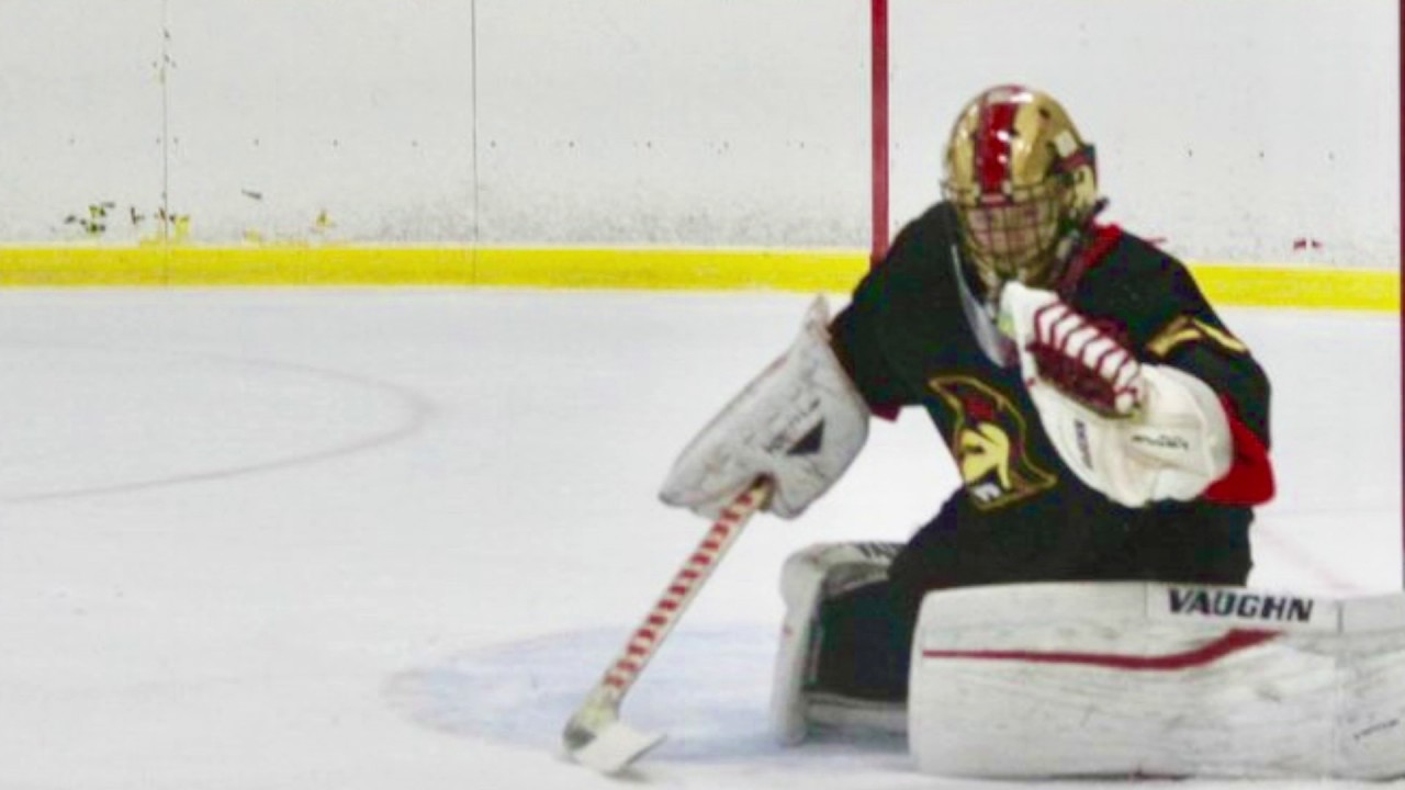 Sean Guerin Hockey Highlights 2017 YouTube