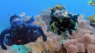 From Bubblemaker to Sidemount and Technical. Amed, Bali. Episode 395