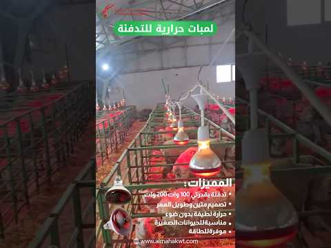 لمبة حرارية للتدفئة