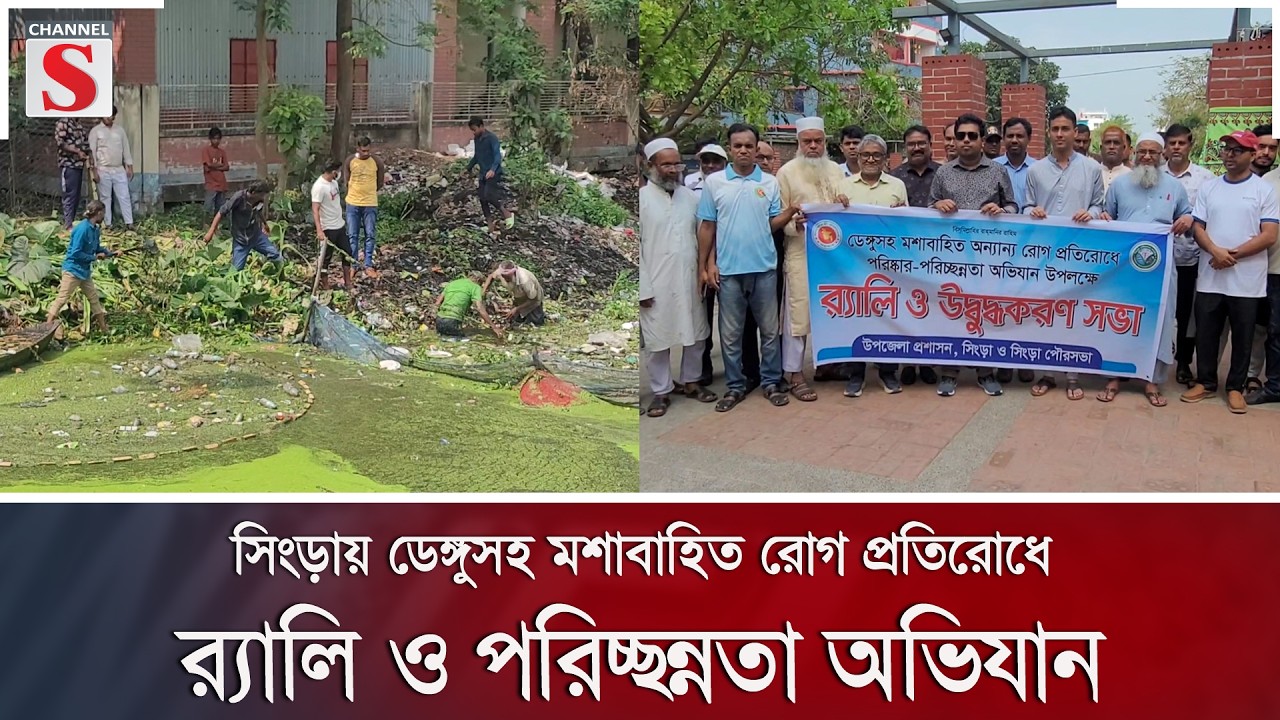 সিংড়ায় ডেঙ্গুসহ মশাবাহিত রোগ প্রতিরোধে র‍্যালি ও পরিচ্ছন্নতা অভিযান | Channel S News