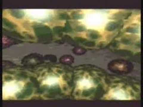 We go / Complex (1996)