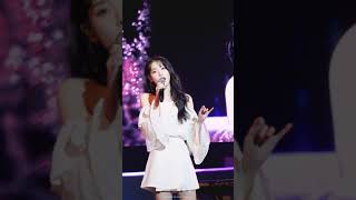 190517 아이유 연세대 아카라카 봄사벚 직캠 4K  IU AKRAKA IU  Not Spring L…