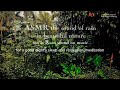 Asmr the Sound of rain in beautifull nature for a good night's and relaxation, meditation 100% rain
