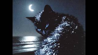 [free] darkwave + post punk type beat ~ nocturne