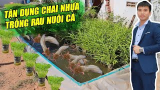 TẬN DỤNG 1000 CHAI NHỰA TRỒNG RAU NUÔI CÁ  - NUÔI CÁ AQUAPONICS | THỦY SẢN 365