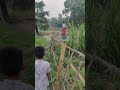 আমাদের গ্রাম" আমাদের ফসল" আমাদের গ্রামের সৌন্দর্য #গ্রাম #ধানের_বাজার