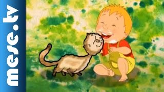Halász Judit: Tíz kicsi cica (gyerekdal, animáció) | MESE TV