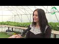 Noua tehnologie bazată pe senzori, viitorul agriculturii   -  Syswin Solutions Lumea Satului TV
