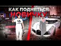 КАК ПОДНЯТЬСЯ НОВИЧКУ на BLACK RUSSIA!!