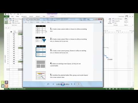 How to Create Views in Microsoft Project by EPMA