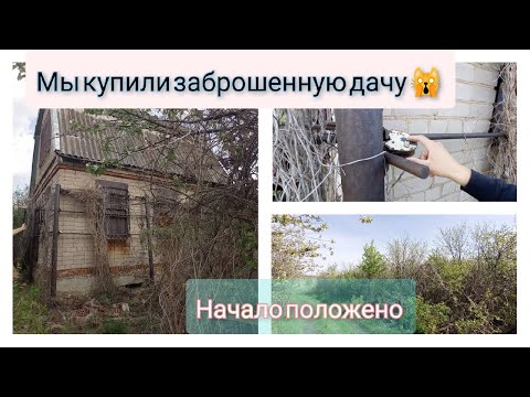 #1 МЫ купили ЗАБРОШЕННУЮ ДАЧУ /Начало / С чего начать? /Расчистка участка