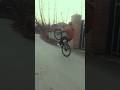 Wheelie mtb stunt #viral #ytshorts #shorts #viralshort